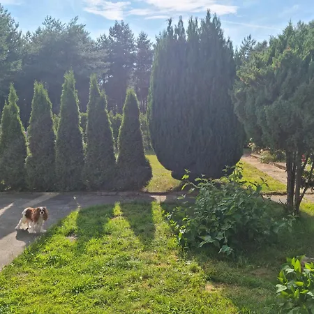 Goscinne Maciej * Rozewie