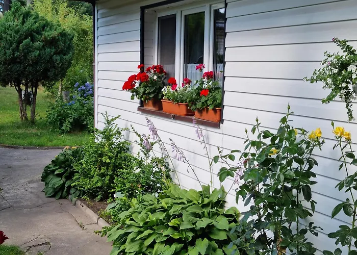 Goscinne Maciej Homestay szállás *